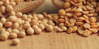 木制书桌上的各种豆类为素食者提供健康和蛋白质的食物