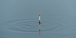 钓鱼时在水中放置钓竿的浮子。水中的浮子表明鱼在上钩。