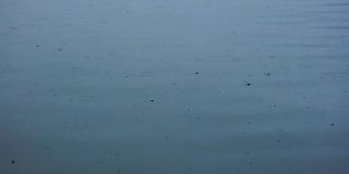 雨点落在湖面上。