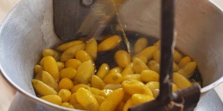 用锅炉煮黄蚕茧制成丝线。