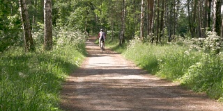 一个男人在森林小径上骑自行车。他过着健康的生活