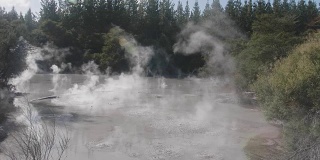 热泥浆池地热，新西兰