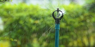 近距离用洒水器在花园浇水