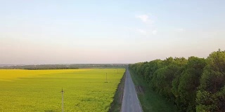 无人机拍摄的空中全景视频，鸟瞰田野上的亮黄色开花植物油菜籽和沿路的绿色种植园。FullHD视频。