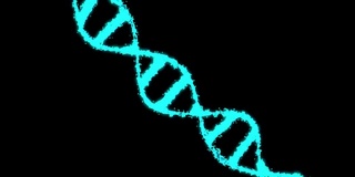 数字全息蓝色DNA。旋转的DNA链是由单个元素组装而成的。基因工程的科学概念。科学的片段。4 k