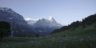 清早，瑞士格林德沃艾格山前的野花田