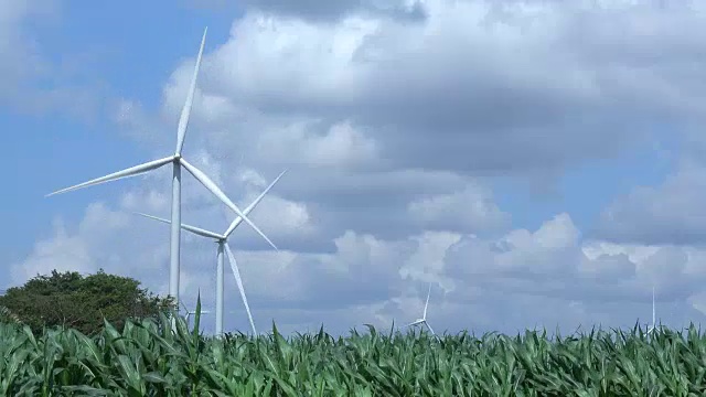 农场风力涡轮机景观
