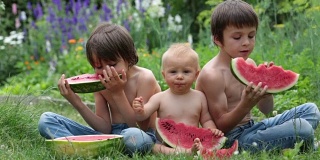 可爱的小朋友们，小男孩和两兄弟，在花园里吃着成熟的西瓜，美味的水果