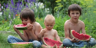 可爱的小朋友们，小男孩和两兄弟，在花园里吃着成熟的西瓜，美味的水果