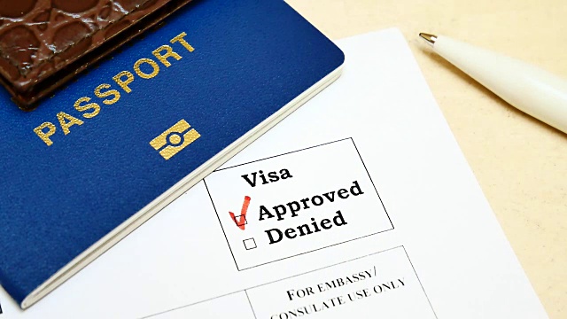 批准签证的决定