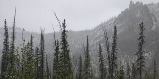 雪落黑云杉，针叶林山脉白云石，塔尖登普斯特高速育空