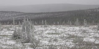 冰雪覆盖的亚北极苔原、登普斯特公路、老鹰平原高原、奥格尔维山脉、育空地区