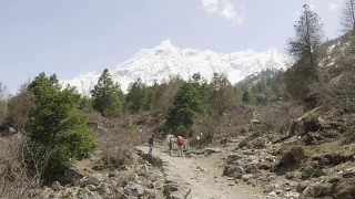 导游带领的游客正在尼泊尔马纳斯鲁地区的喜马拉雅山徒步旅行。视频素材模板下载