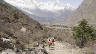 导游带领的游客正在尼泊尔马纳斯鲁地区的喜马拉雅山徒步旅行。视频素材模板下载