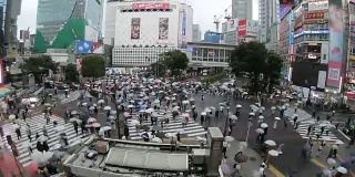 日本东京涩谷，人们撑着雨伞穿过著名的对角线十字路口的4K时间