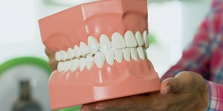 教师向孩子们展示颌部结构，在学校上口腔卫生课