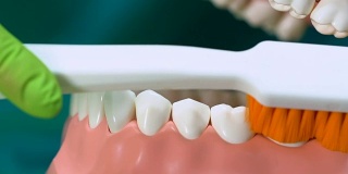 专业牙医讲解如何正确清洁牙齿，保持口腔卫生