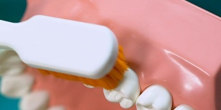 适当的刷牙建议来自临床医生，口腔护理，药物
