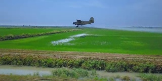农业航空。农业飞机在稻田喷洒农药