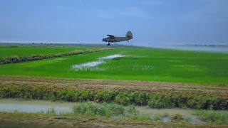 农业航空。农业飞机在稻田喷洒农药视频素材模板下载