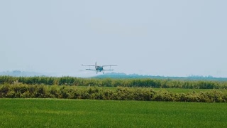 农业航空。农业飞机在稻田喷洒农药视频素材模板下载