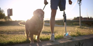 一个残疾人和他的狗