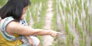 妈妈和宝宝看到稻田