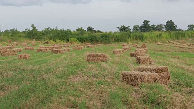 美丽的草地与草垛在农场和森林