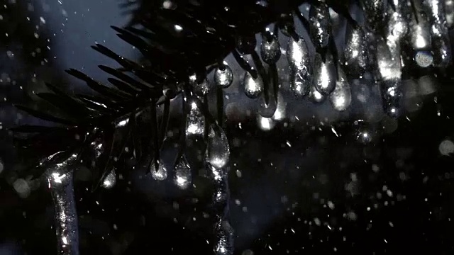 超微距拍摄的闪闪发光的冰冻冰柱闪烁像星星在冷杉树枝下大雨对黑暗的针叶树背景。