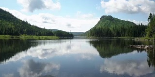 夏季北方自然森林和湖泊鸟瞰图