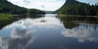 夏季北方自然森林和湖泊鸟瞰图