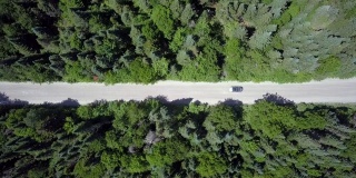 森林中的道路的4K航拍视频视图