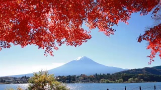 日本的富士山视频素材模板下载
