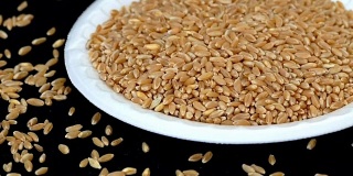 用来做面粉的优质小麦